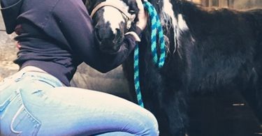 Kris Humphries Has A Hot New Horse Trainer Girlfriend