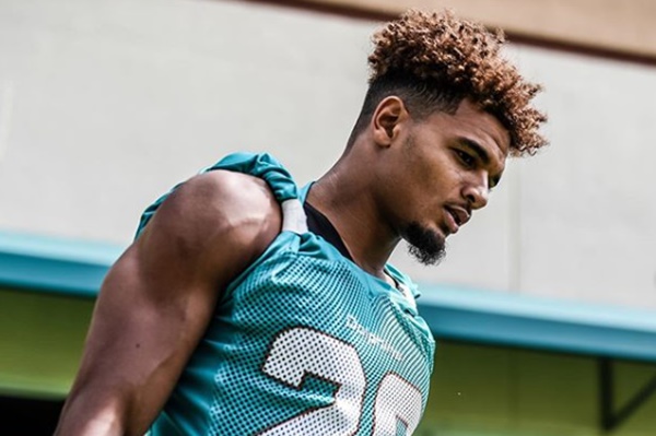 Dolphins Minkah Fitzpatrick Mom Defends Son on Twitter