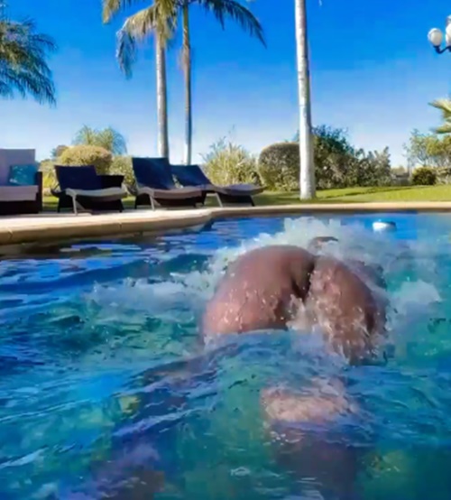 Bottoms Up: NBA Champ Glen Davis Has A Cheeky Day